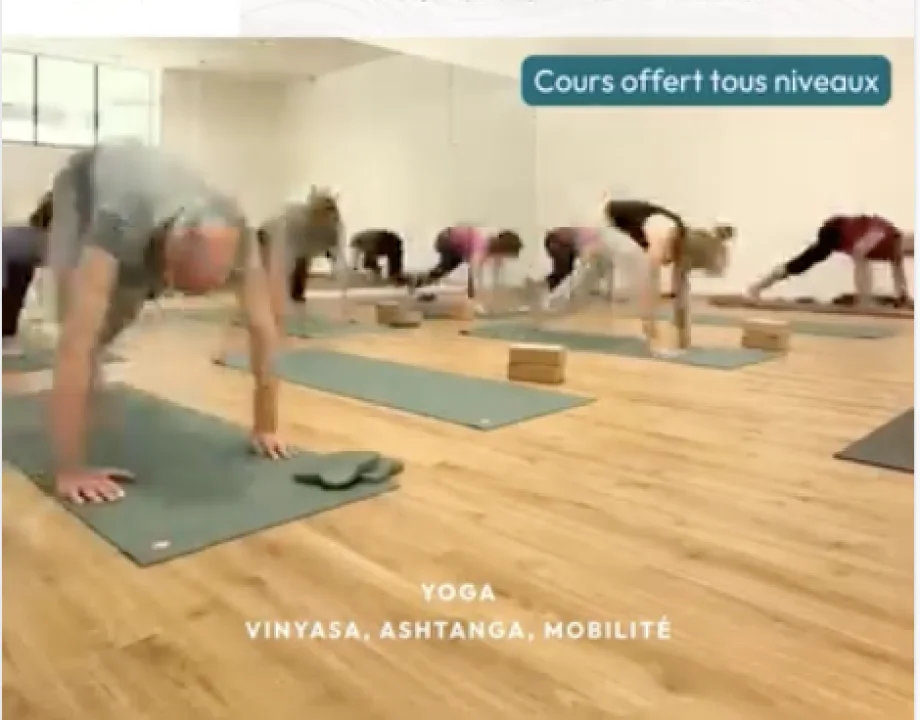 Publicité Phénix Yoga · portes ouvertes, cours offert tous niveaux